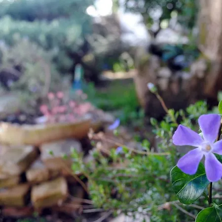 Giardino Giamperduto