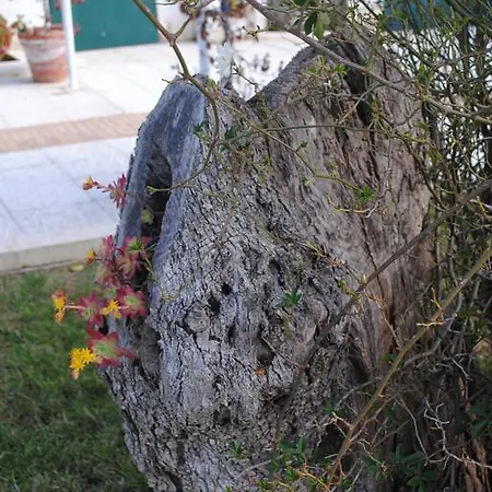 מלון Giardino Giamperduto 3*