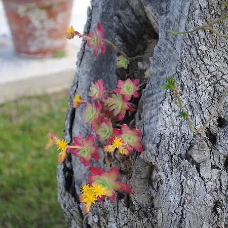 Giardino Giamperduto Hotel Bernalda