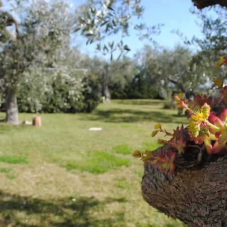Giardino Giamperduto 3*