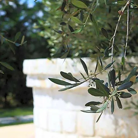 Giardino Giamperduto מלון 3*
