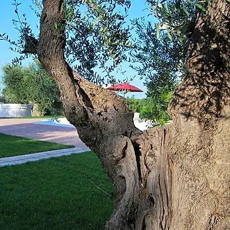 Giardino Giamperduto מלון ברנאלדה