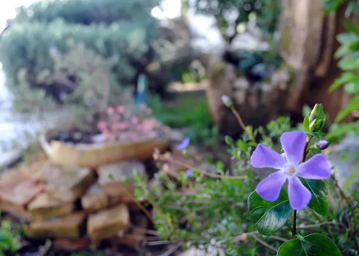 Giardino Giamperduto