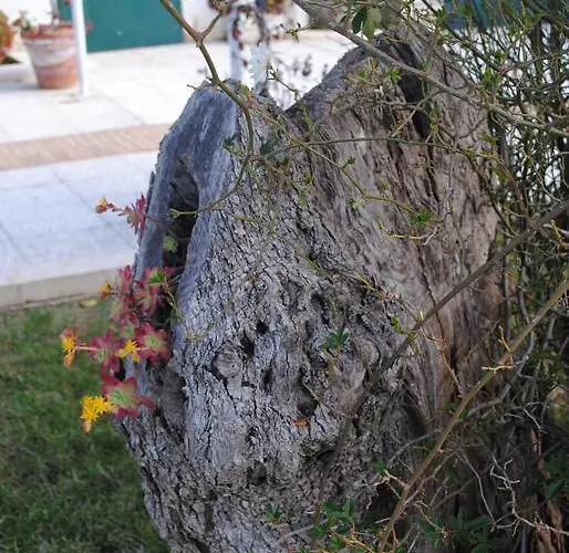 Hotel Giardino Giamperduto 3*