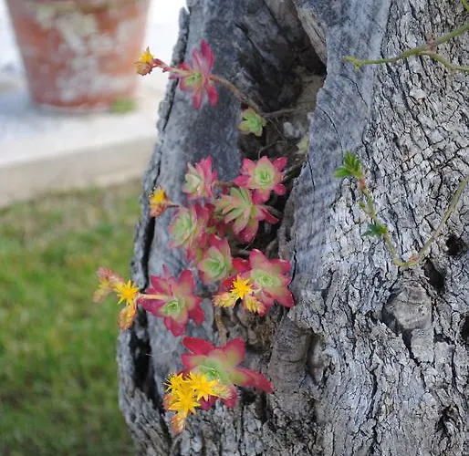 Giardino Giamperduto Hotel Bernalda