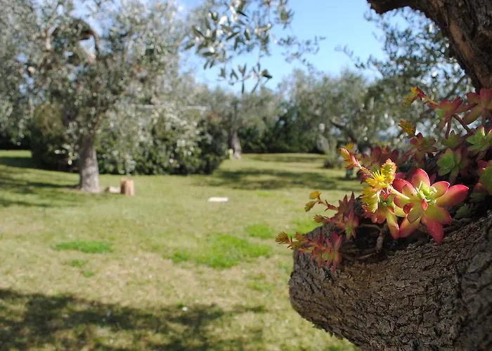 Giardino Giamperduto 3*