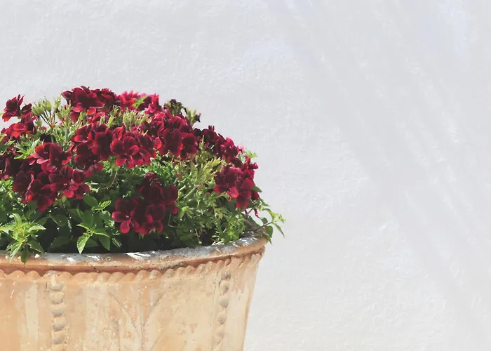 Hotel Giardino Giamperduto 3*